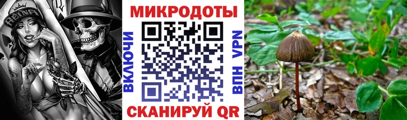 Купить  Лиски  Псилоцибиновые грибы MAGIC MUSHROOMS 